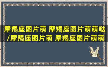 摩羯座图片萌 摩羯座图片萌萌哒/摩羯座图片萌 摩羯座图片萌萌哒-我的网站